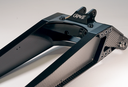 Custom Side Plates for CRAVE Swingarm